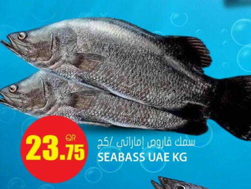 available at جراند هايبرماركت in قطر - الريان