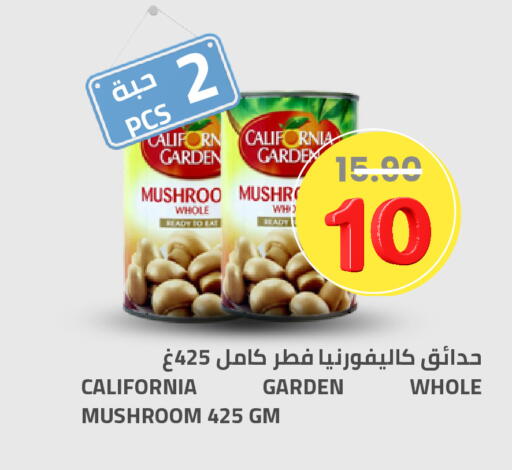 Mushroom available at أسواق أسترا in مملكة العربية السعودية, السعودية, سعودية - تبوك
