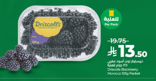 Blackberry from Morocco available at لولو هايبرماركت in مملكة العربية السعودية, السعودية, سعودية - ينبع