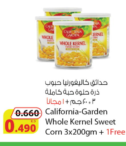 available at Agricultural Food Products Co. in Kuwait - Kuwait City
