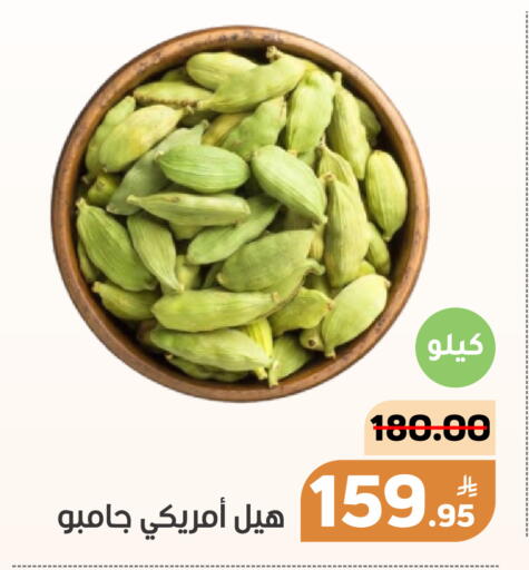 Apple available at أسواق جرين أبل in مملكة العربية السعودية, السعودية, سعودية - الأحساء‎