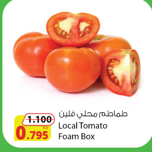 Tomato available at Agricultural Food Products Co. in Kuwait - Kuwait City