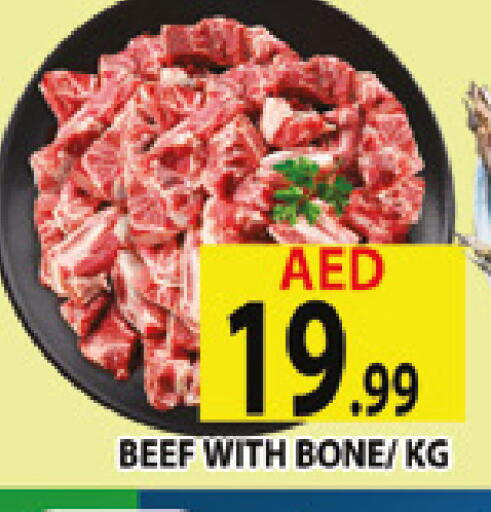 available at المدينة in الإمارات العربية المتحدة , الامارات - دبي