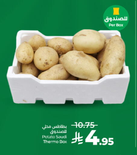Potato from Saudi Arabia available at لولو هايبرماركت in مملكة العربية السعودية, السعودية, سعودية - تبوك
