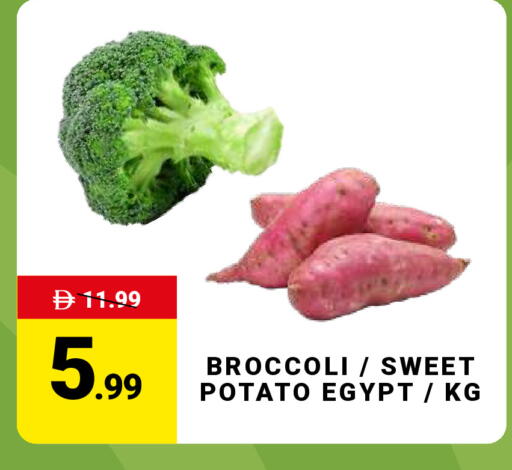 Broccoli Sweet Potato from Egypt available at مدهور سوبرماركت in الإمارات العربية المتحدة , الامارات - دبي
