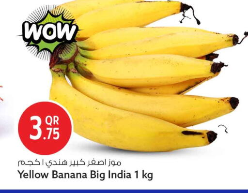 Banana from India available at Safari Hypermarket in Qatar - Al Wakra