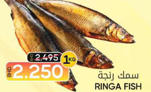 available at Day to Day Discount Center in Bahrain