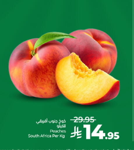 from South Africa available at لولو هايبرماركت in مملكة العربية السعودية, السعودية, سعودية - ينبع