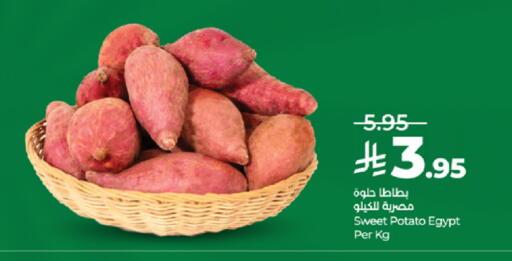Sweet Potato from Egypt available at لولو هايبرماركت in مملكة العربية السعودية, السعودية, سعودية - تبوك