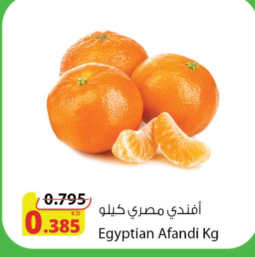 from Egypt available at شركة المنتجات الزراعية الغذائية in الكويت - مدينة الكويت