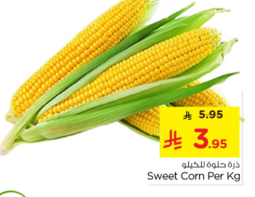 available at نستو in مملكة العربية السعودية, السعودية, سعودية - المجمعة