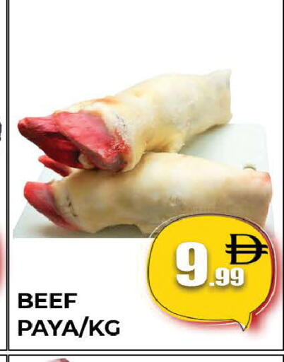 available at المدينة in الإمارات العربية المتحدة , الامارات - دبي