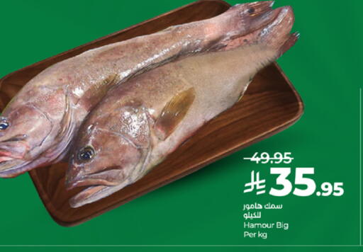 available at لولو هايبرماركت in مملكة العربية السعودية, السعودية, سعودية - الطائف