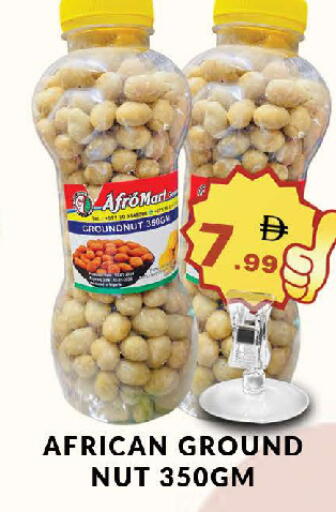 available at المدينة in الإمارات العربية المتحدة , الامارات - دبي