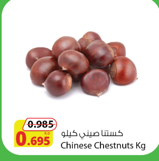 available at شركة المنتجات الزراعية الغذائية in الكويت - محافظة الأحمدي
