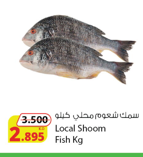 available at شركة المنتجات الزراعية الغذائية in الكويت - محافظة الأحمدي