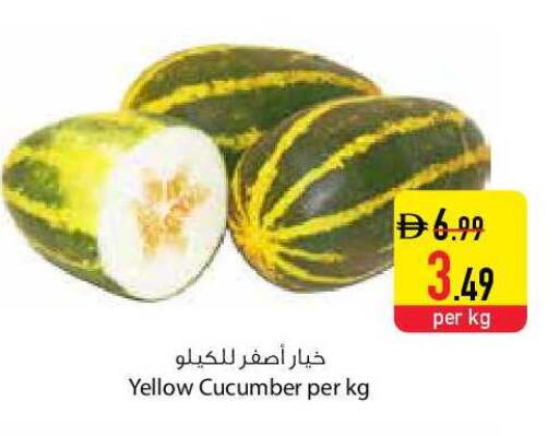 Cucumber available at السفير ماركت in الإمارات العربية المتحدة , الامارات - دبي