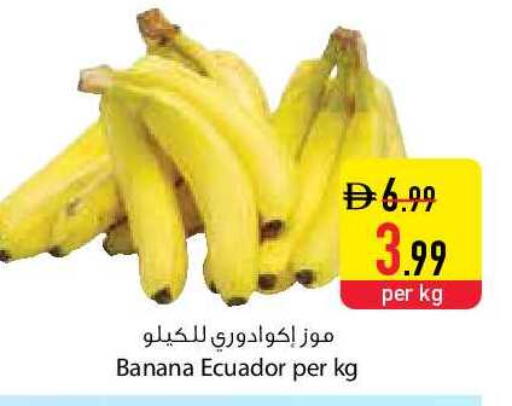 Banana available at السفير ماركت in الإمارات العربية المتحدة , الامارات - ٱلْعَيْن‎