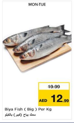 available at نستو هايبرماركت in الإمارات العربية المتحدة , الامارات - ٱلْفُجَيْرَة‎