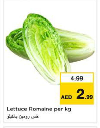 Lettuce available at نستو هايبرماركت in الإمارات العربية المتحدة , الامارات - الشارقة / عجمان