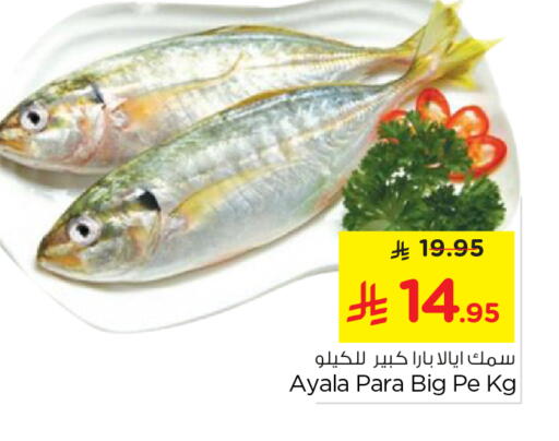 available at نستو in مملكة العربية السعودية, السعودية, سعودية - الرياض