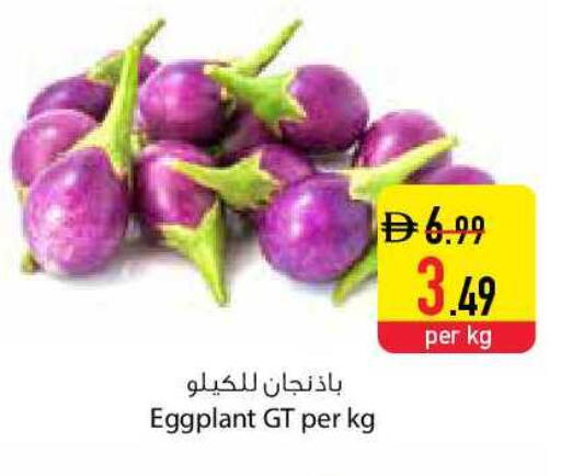 Eggplant available at Safeer Market in UAE - Fujairah