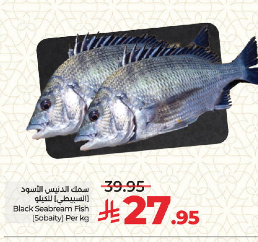 available at لولو هايبرماركت in مملكة العربية السعودية, السعودية, سعودية - جدة