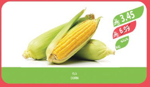 available at Farm  in KSA, Saudi Arabia, Saudi - Sakaka