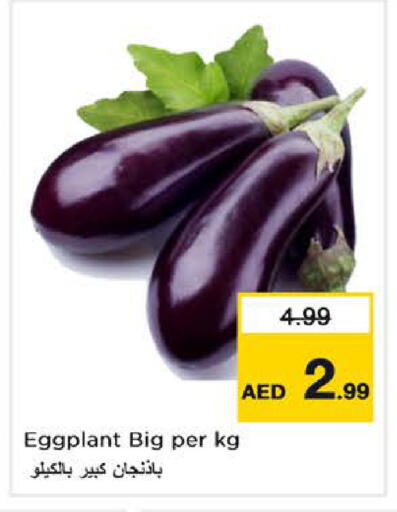 Eggplant available at نستو هايبرماركت in الإمارات العربية المتحدة , الامارات - دبي