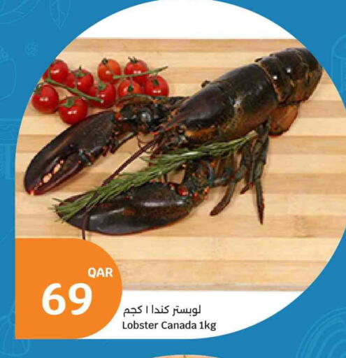 available at City Hypermarket in Qatar - Al Shamal