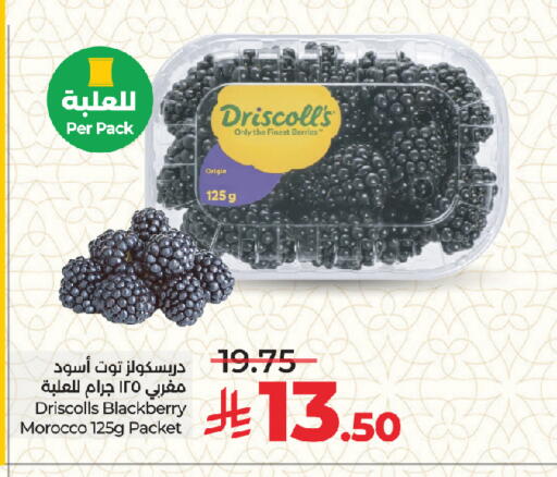 Blackberry from Morocco available at لولو هايبرماركت in مملكة العربية السعودية, السعودية, سعودية - جدة