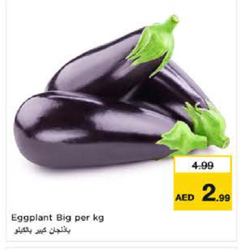 Eggplant available at نستو هايبرماركت in الإمارات العربية المتحدة , الامارات - ٱلْفُجَيْرَة‎