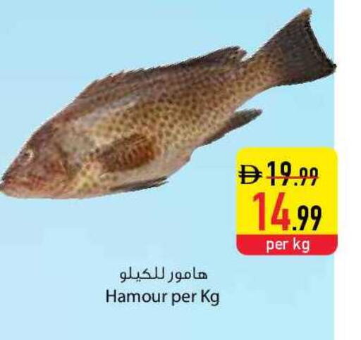 available at السفير ماركت in الإمارات العربية المتحدة , الامارات - رَأْس ٱلْخَيْمَة