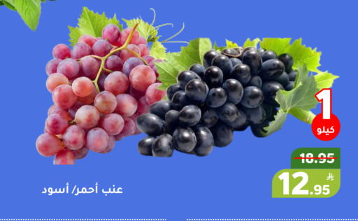 Apple available at أسواق جرين أبل in مملكة العربية السعودية, السعودية, سعودية - الأحساء‎