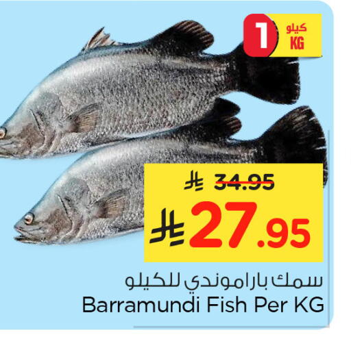 available at نستو in مملكة العربية السعودية, السعودية, سعودية - الأحساء‎