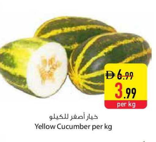 Cucumber available at السفير ماركت in الإمارات العربية المتحدة , الامارات - الشارقة / عجمان