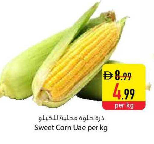 available at Safeer Market in UAE - Sharjah / Ajman