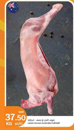 available at City Hypermarket in Qatar - Al Daayen