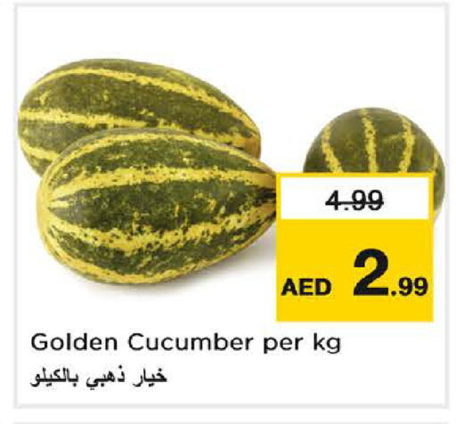Cucumber available at نستو هايبرماركت in الإمارات العربية المتحدة , الامارات - دبي