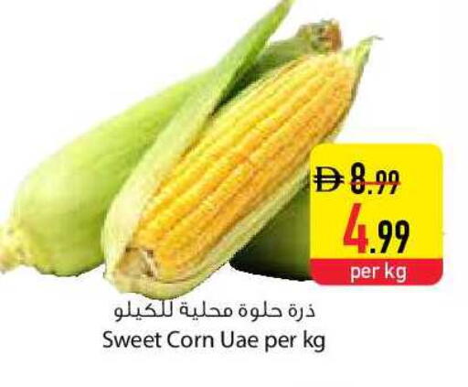 available at Safeer Market in UAE - Sharjah / Ajman