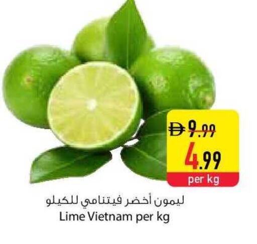 from Vietnam available at Safeer Market in UAE - Sharjah / Ajman