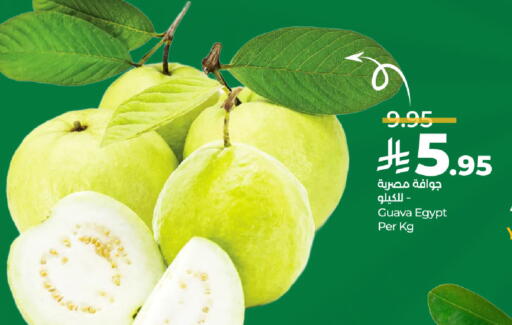 Guava from Egypt available at لولو هايبرماركت in مملكة العربية السعودية, السعودية, سعودية - المنطقة الشرقية