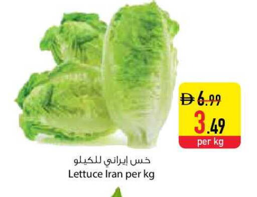 Lettuce from Iran available at السفير ماركت in الإمارات العربية المتحدة , الامارات - دبي