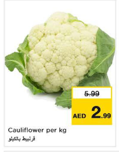 Cauliflower available at نستو هايبرماركت in الإمارات العربية المتحدة , الامارات - دبي