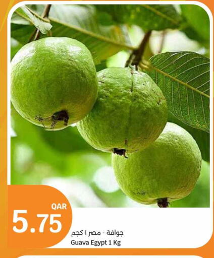 Guava from Egypt available at سيتي هايبرماركت in قطر - الشمال