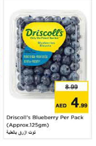 Blueberry BlueBerry available at نستو هايبرماركت in الإمارات العربية المتحدة , الامارات - دبي