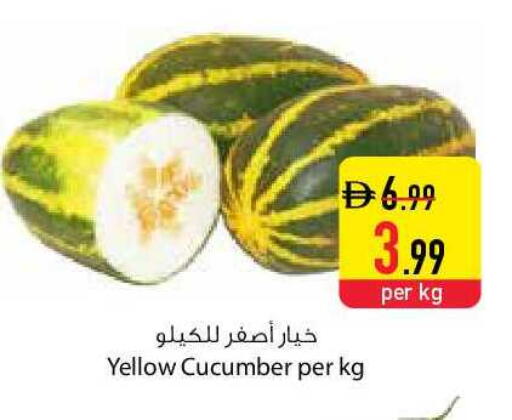 Cucumber available at السفير ماركت in الإمارات العربية المتحدة , الامارات - الشارقة / عجمان