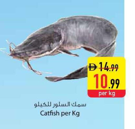 available at السفير ماركت in الإمارات العربية المتحدة , الامارات - الشارقة / عجمان