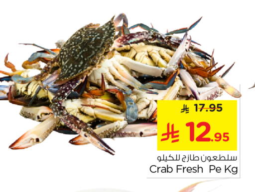 available at نستو in مملكة العربية السعودية, السعودية, سعودية - الرياض