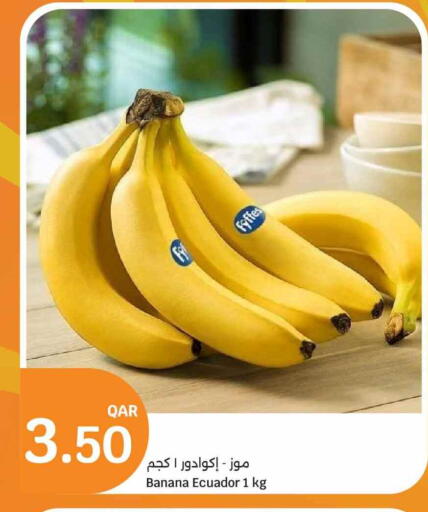 Banana from Ecuador available at سيتي هايبرماركت in قطر - الشمال